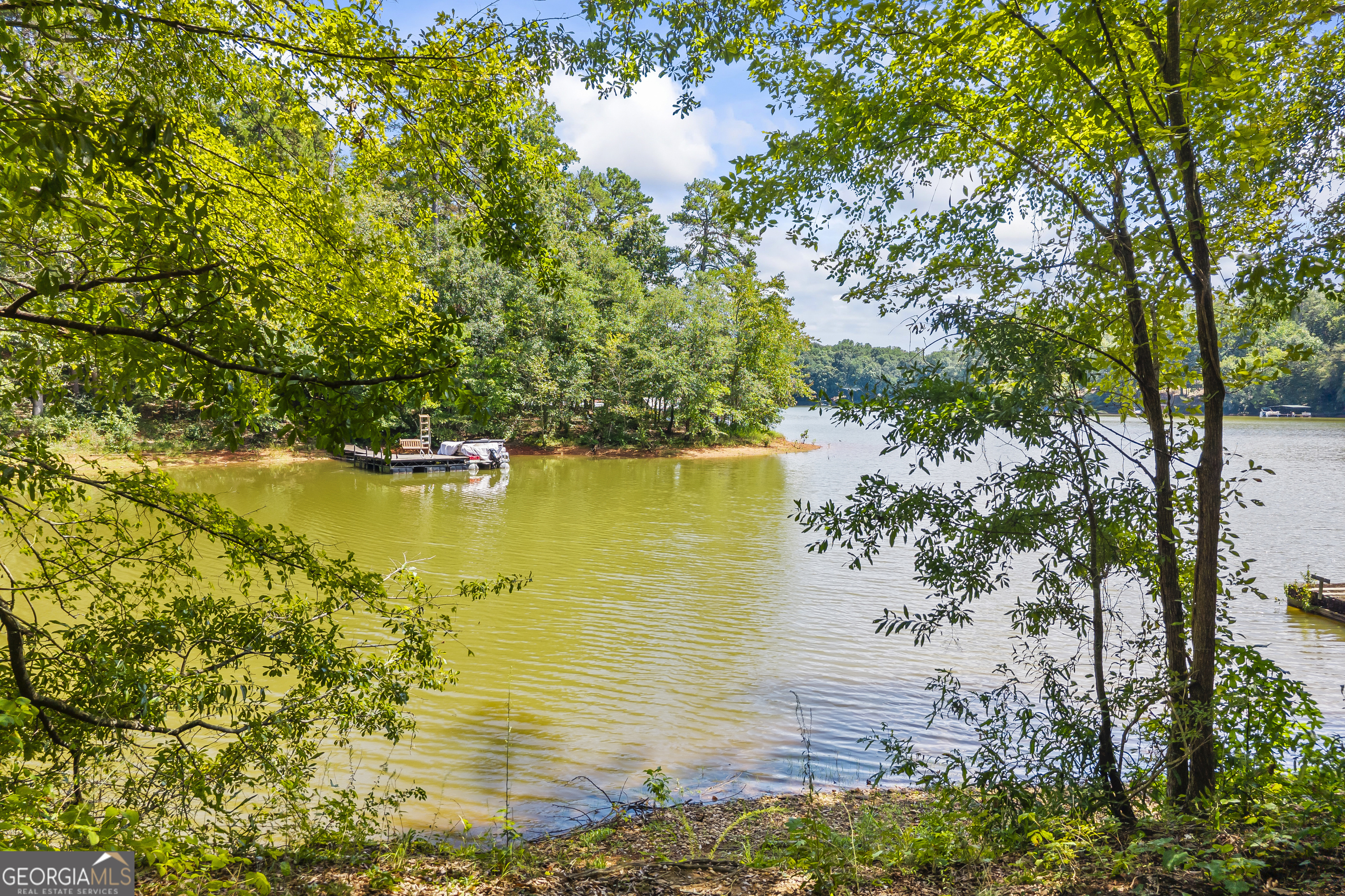 474 Lewis Drive Lavonia GA 30553
