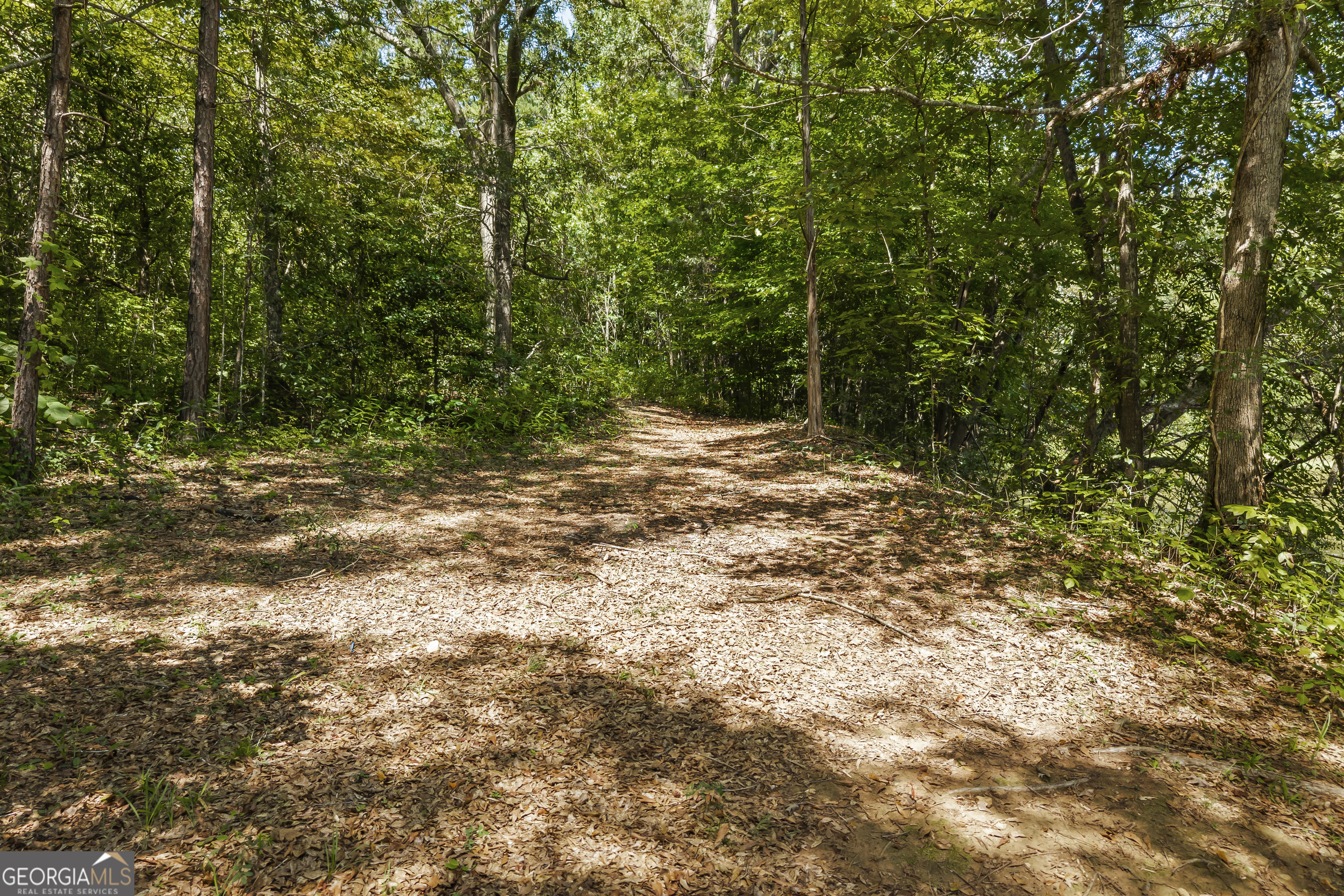474 Lewis Drive Lavonia GA 30553