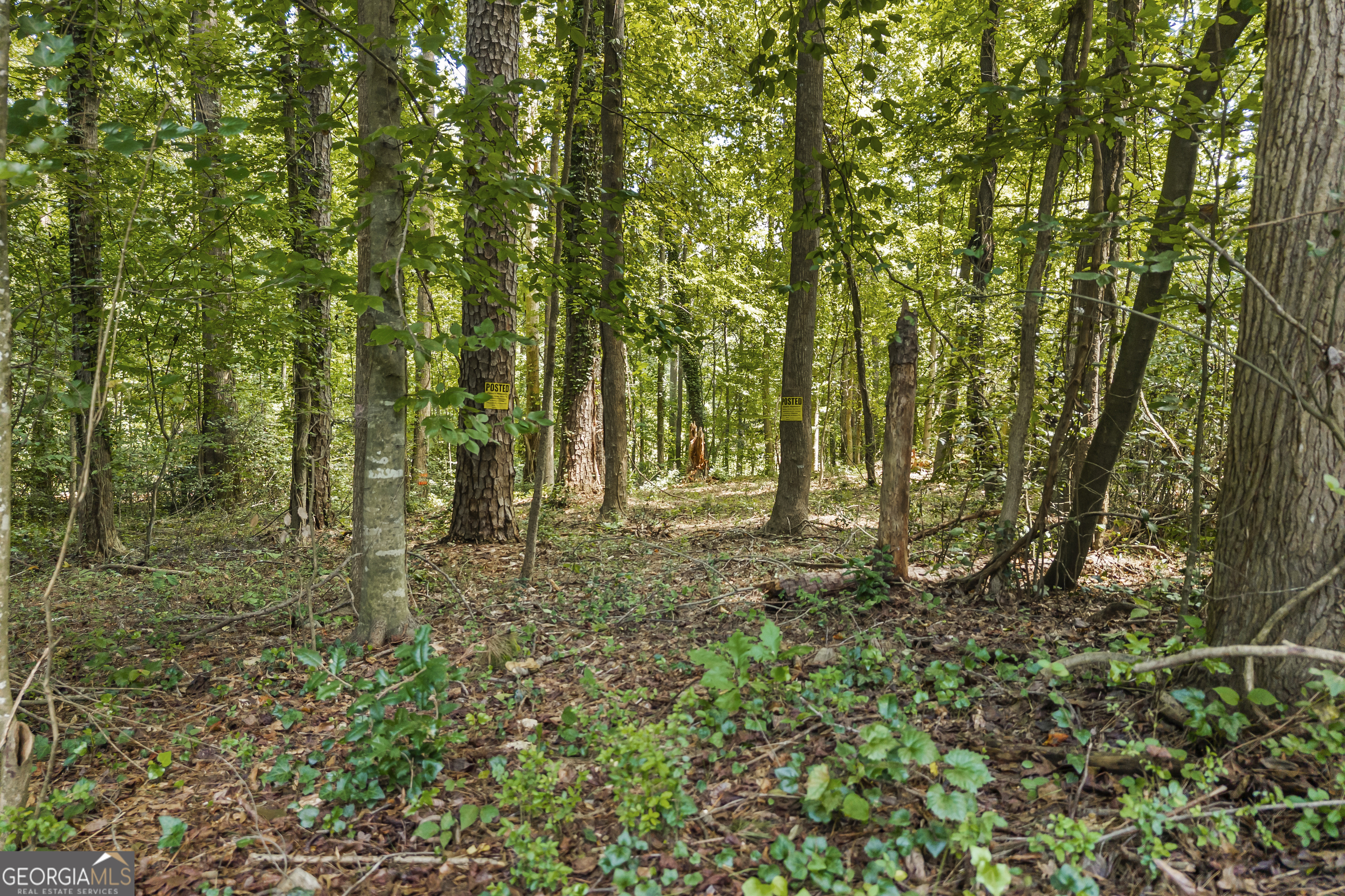 474 Lewis Drive Lavonia GA 30553
