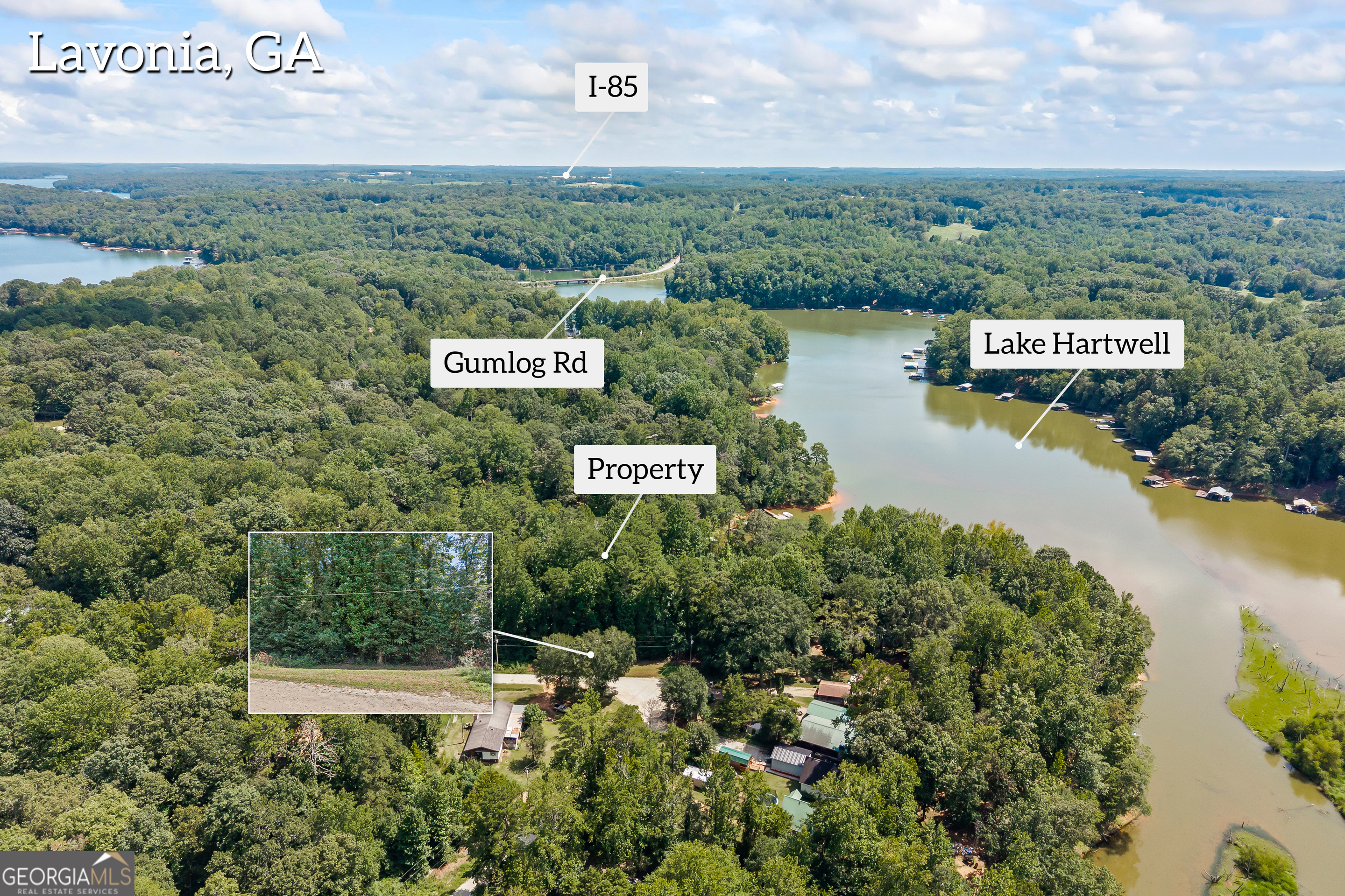 474 Lewis Drive Lavonia GA 30553