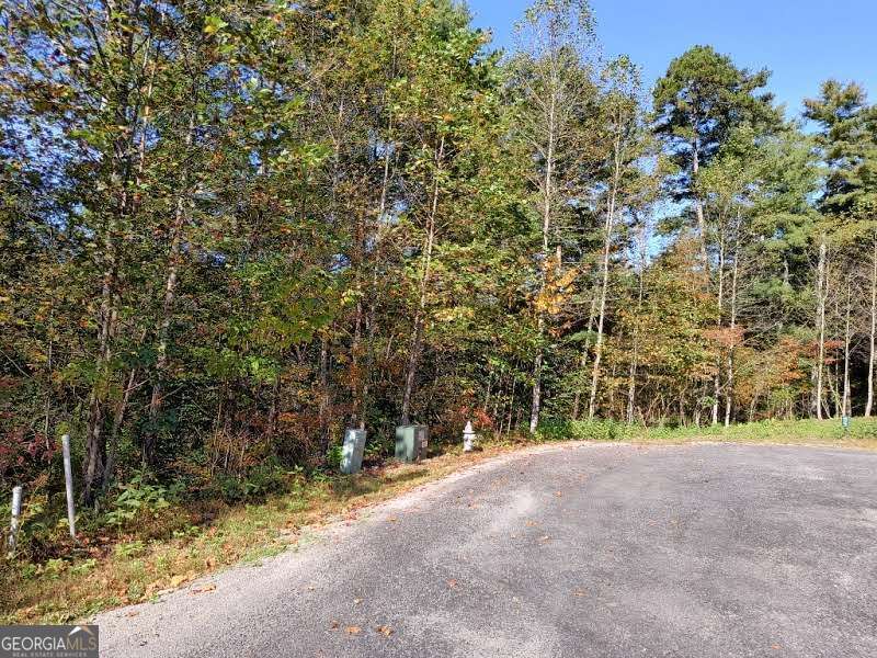 Lot 95 Cedar Road Ellijay GA 30540