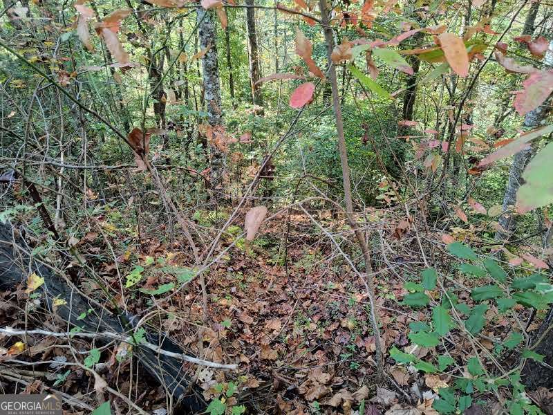 Lot 95 Cedar Road Ellijay GA 30540