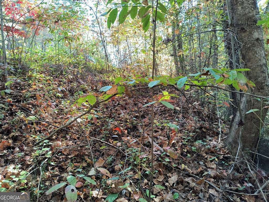 Lot 95 Cedar Road Ellijay GA 30540