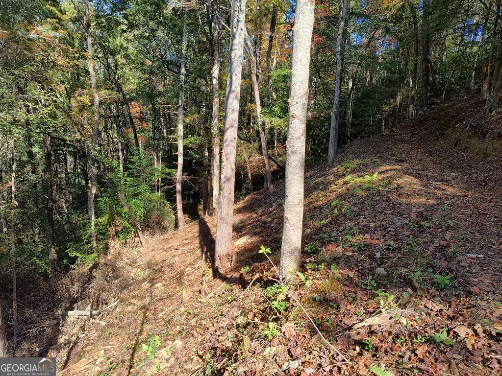Lot 95 Cedar Road Ellijay GA 30540