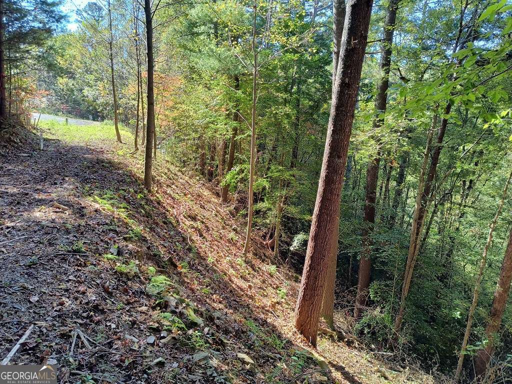 Lot 95 Cedar Road Ellijay GA 30540