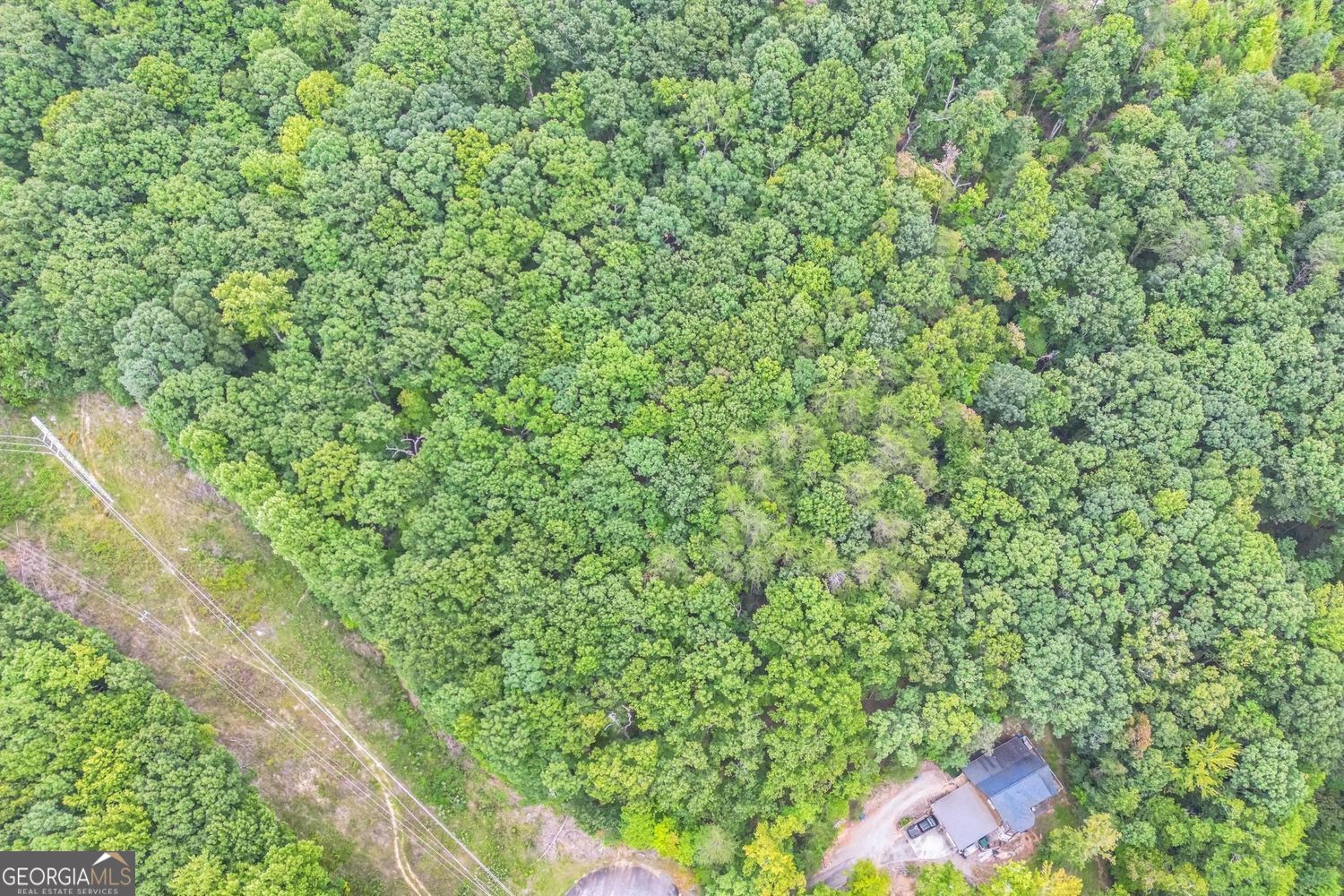 349 Turner Ridge Drive Cleveland GA 30528