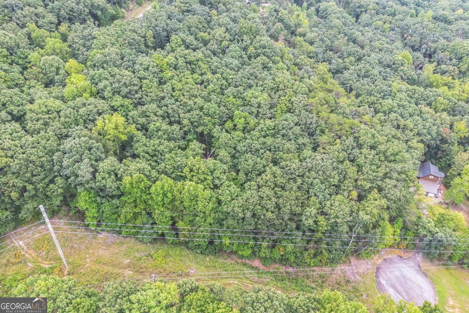 349 Turner Ridge Drive Cleveland GA 30528