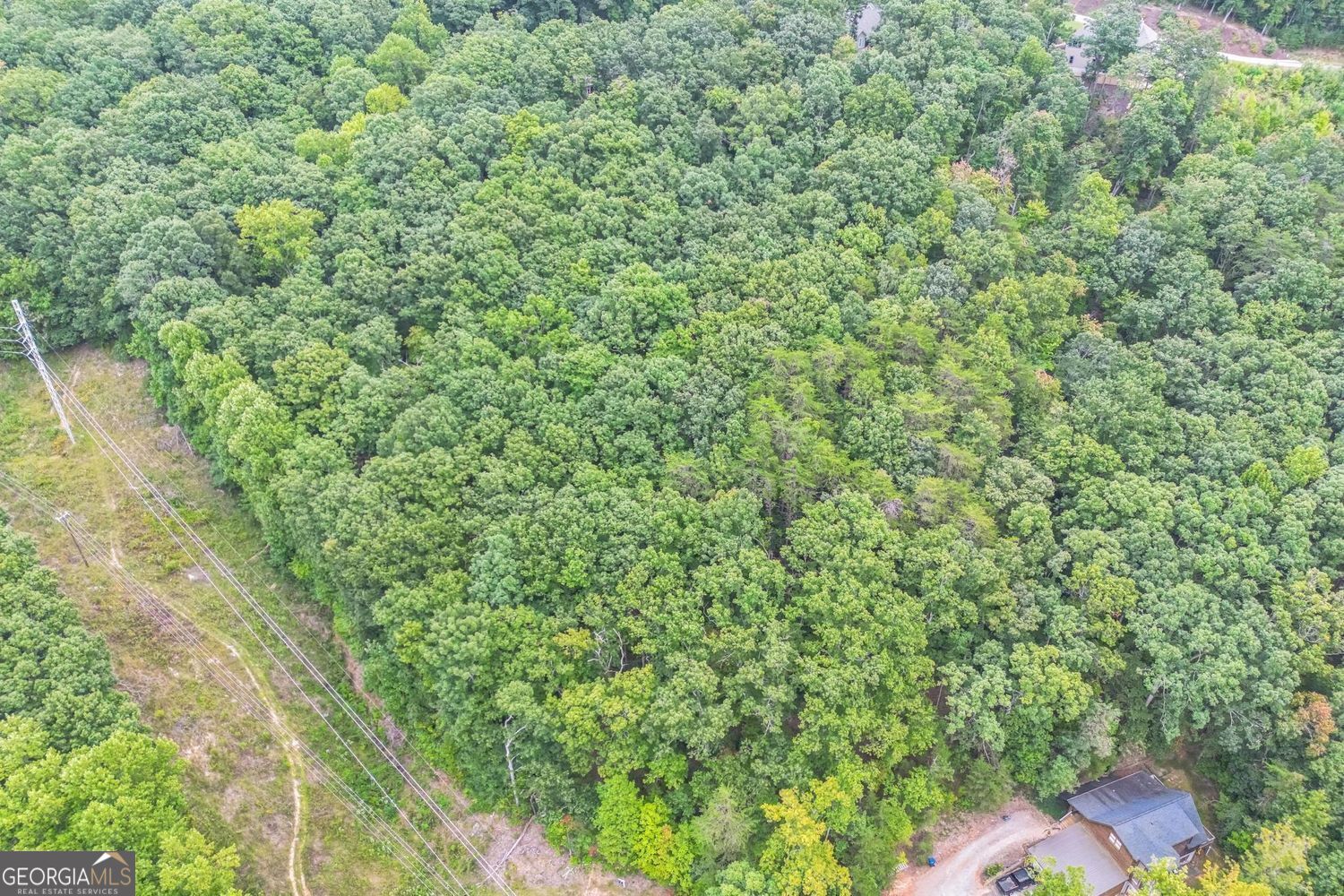 349 Turner Ridge Drive Cleveland GA 30528