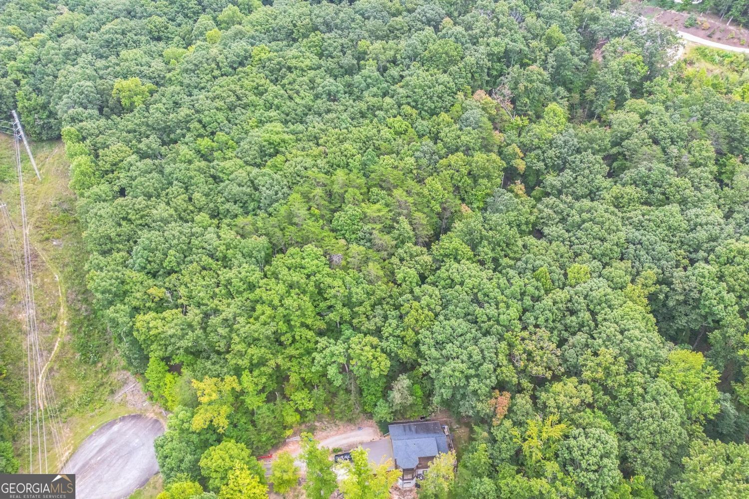 349 Turner Ridge Drive Cleveland GA 30528