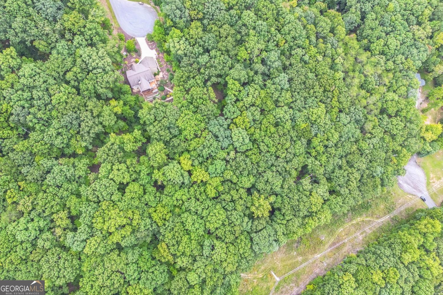 349 Turner Ridge Drive Cleveland GA 30528