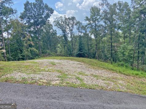 3.3AC Trillium Trail Dahlonega GA 30533