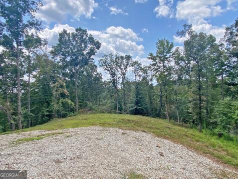 3.3AC Trillium Trail Dahlonega GA 30533