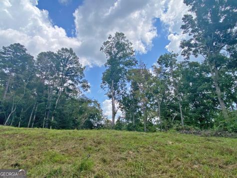 3.3AC Trillium Trail Dahlonega GA 30533