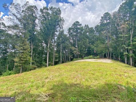 3.3AC Trillium Trail Dahlonega GA 30533