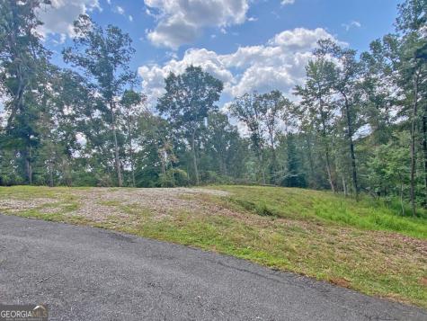 3.3AC Trillium Trail Dahlonega GA 30533