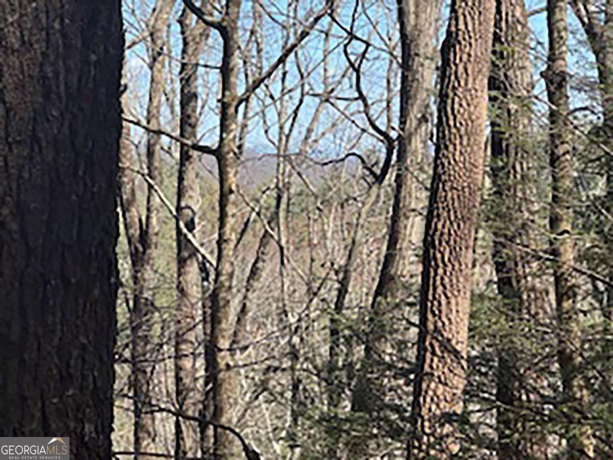 Lot 14 Butler Creek Road Cherry Log GA 30522