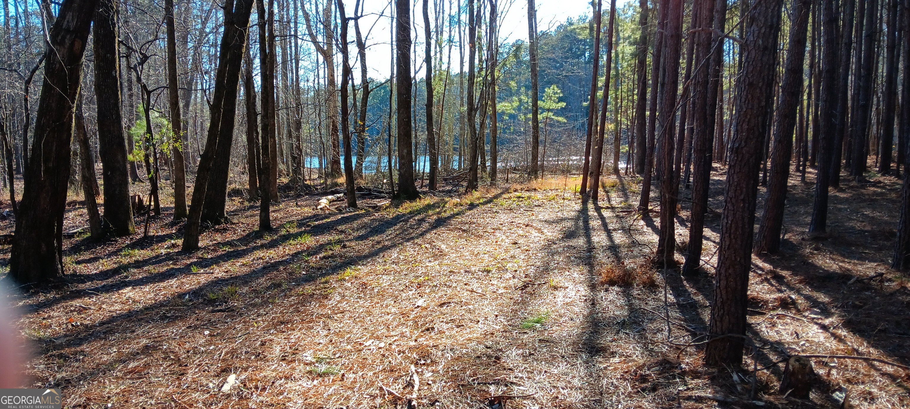 1 Sweetbriar Lane Griffin GA 30224
