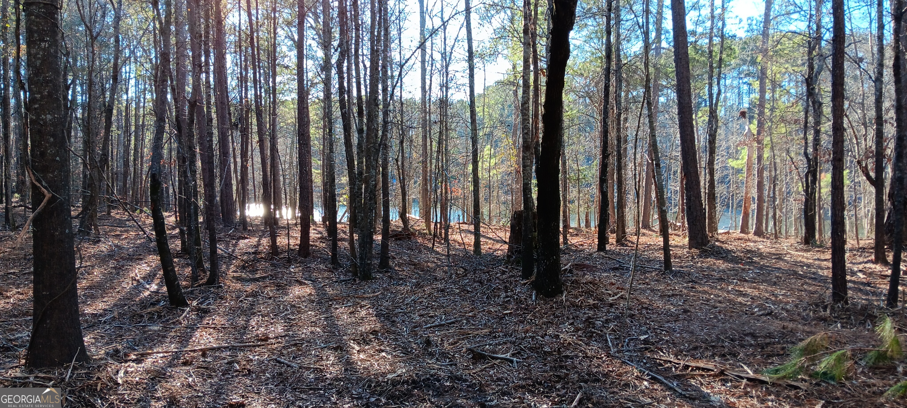 1 Sweetbriar Lane Griffin GA 30224