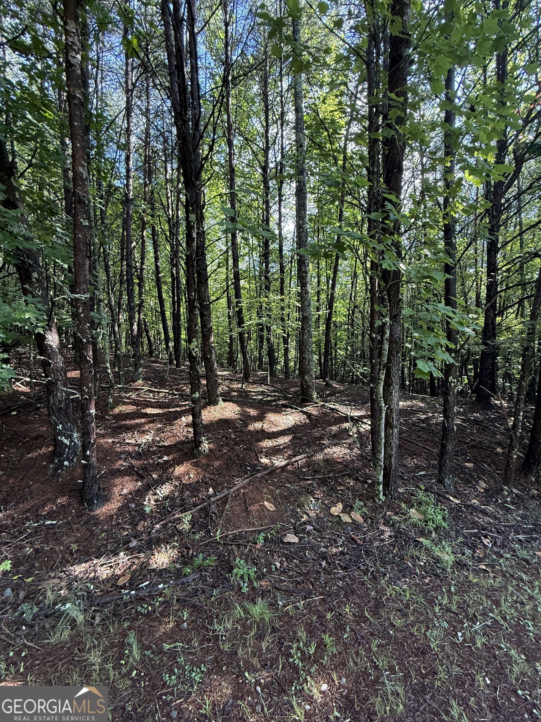 Lot 4 Marci Lane Sautee Nacoochee GA 30571