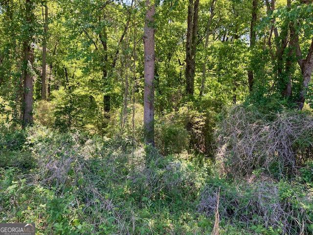 4038 W Mcintosh Road Griffin GA 30223