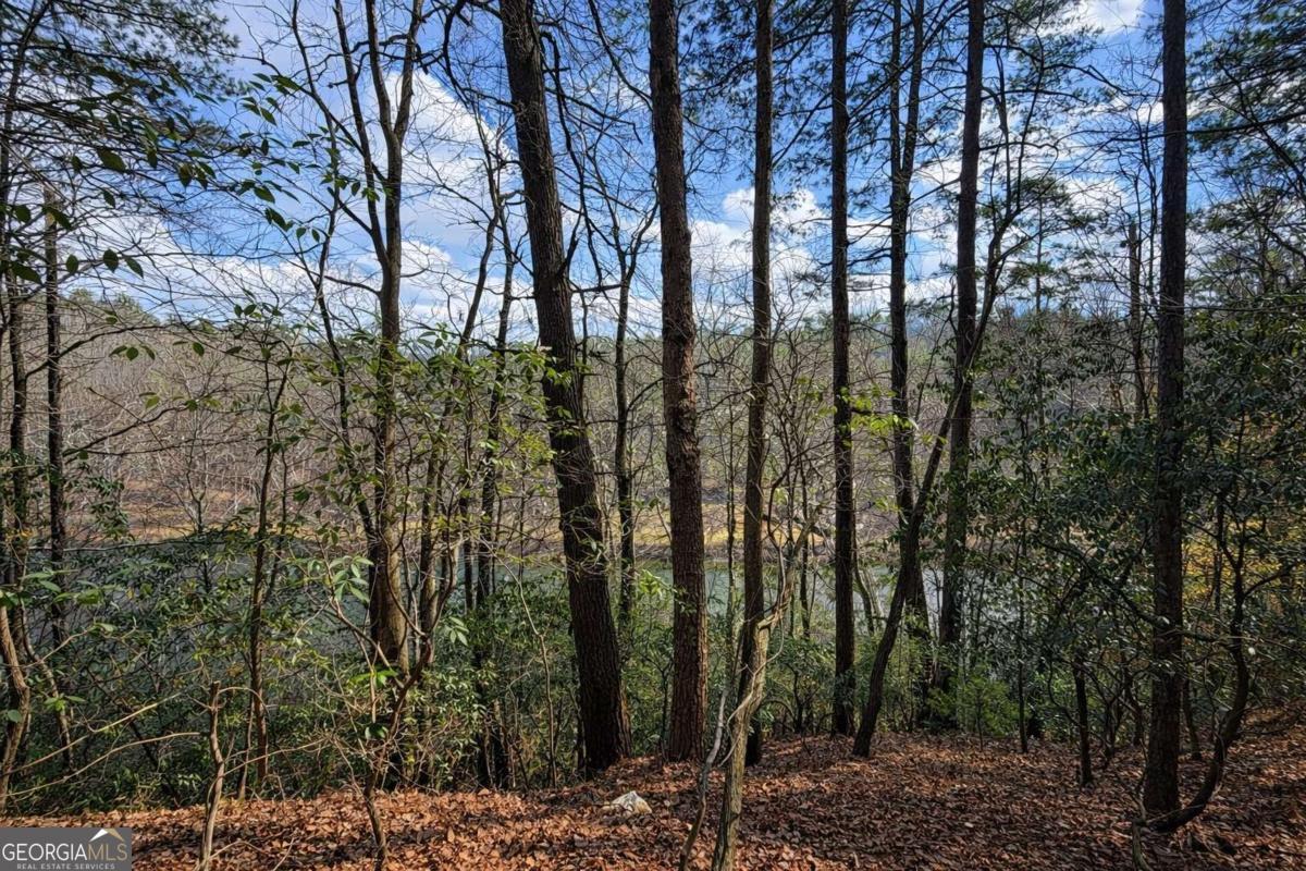 0 Hamlet Court Ellijay GA 30540