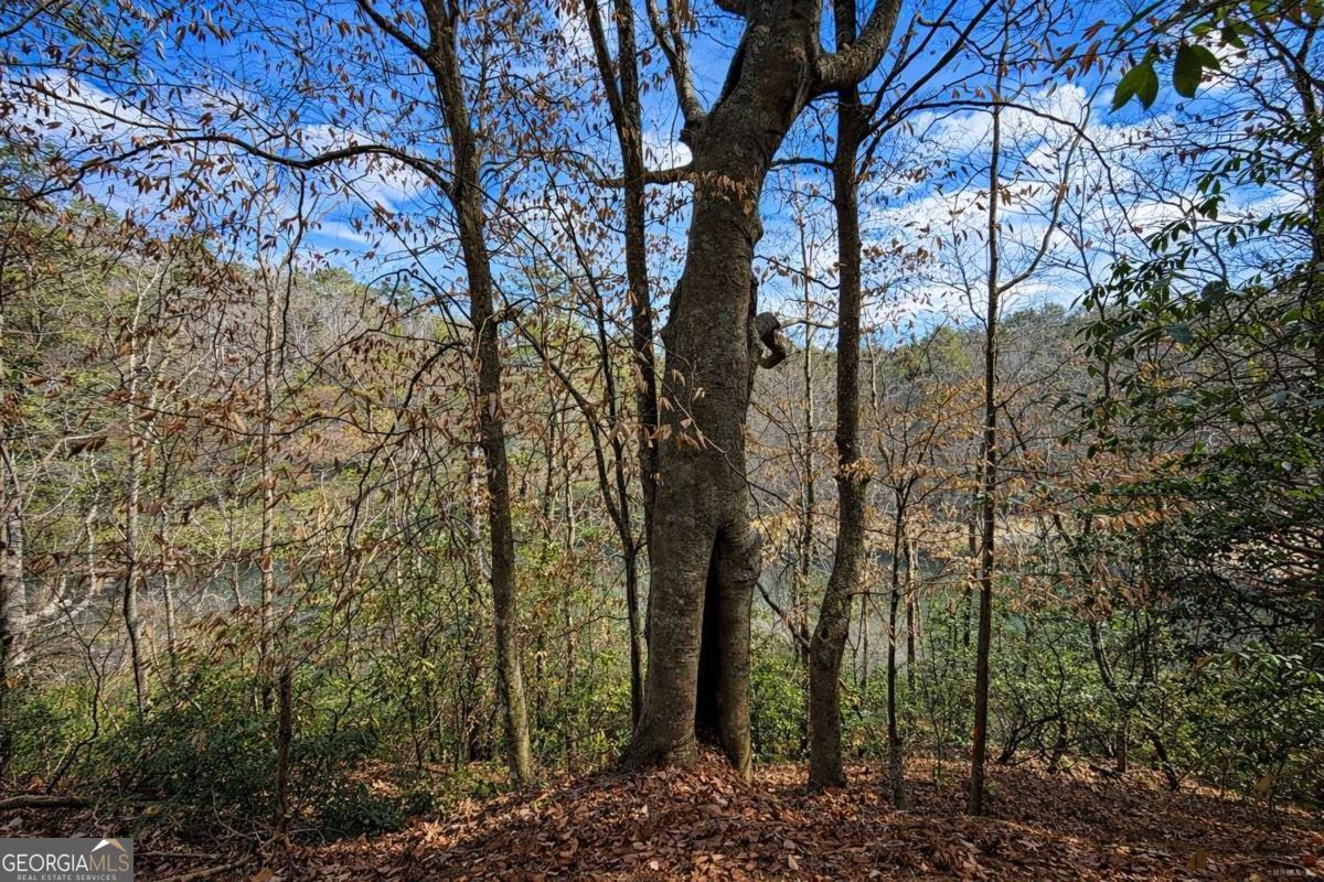 0 Hamlet Court Ellijay GA 30540