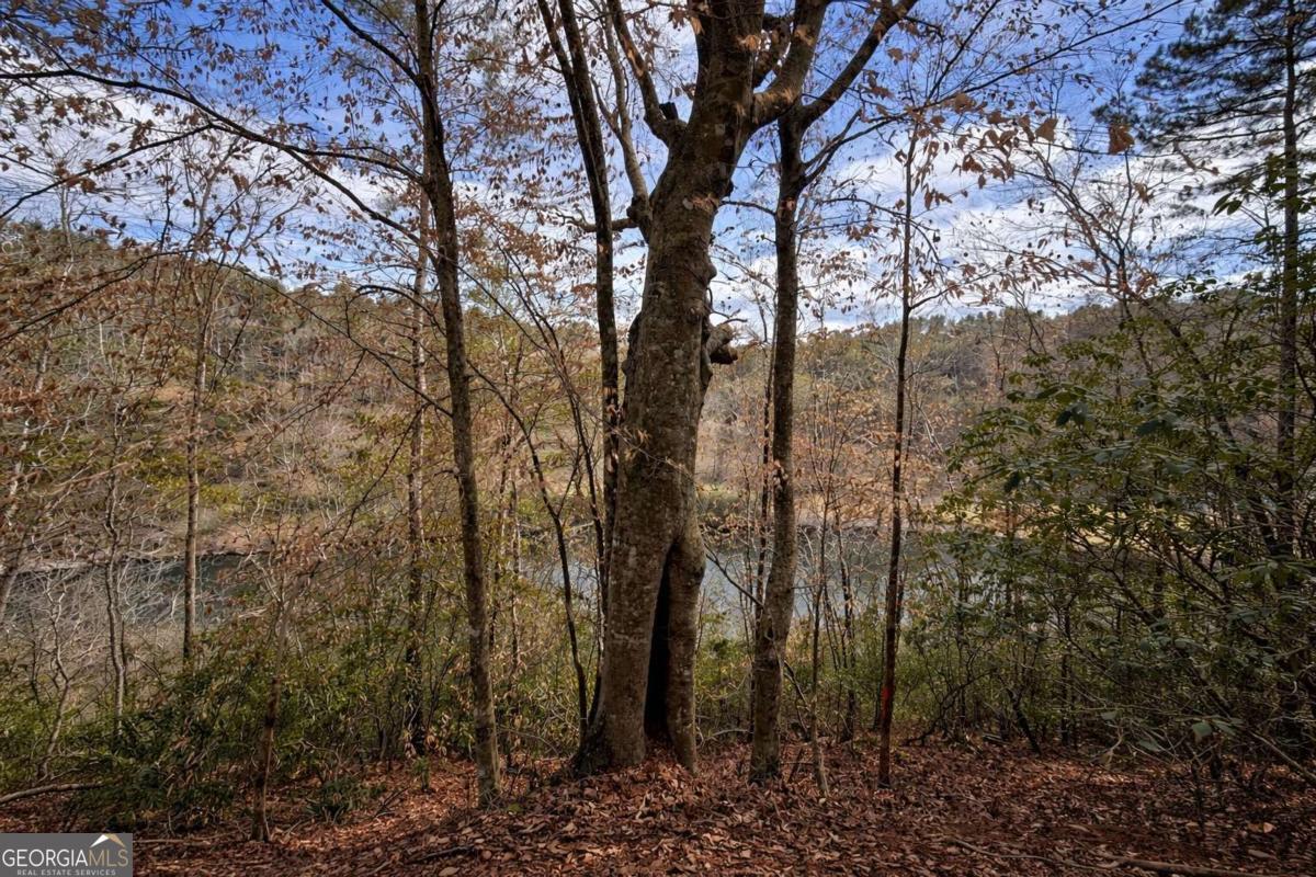 0 Hamlet Court Ellijay GA 30540