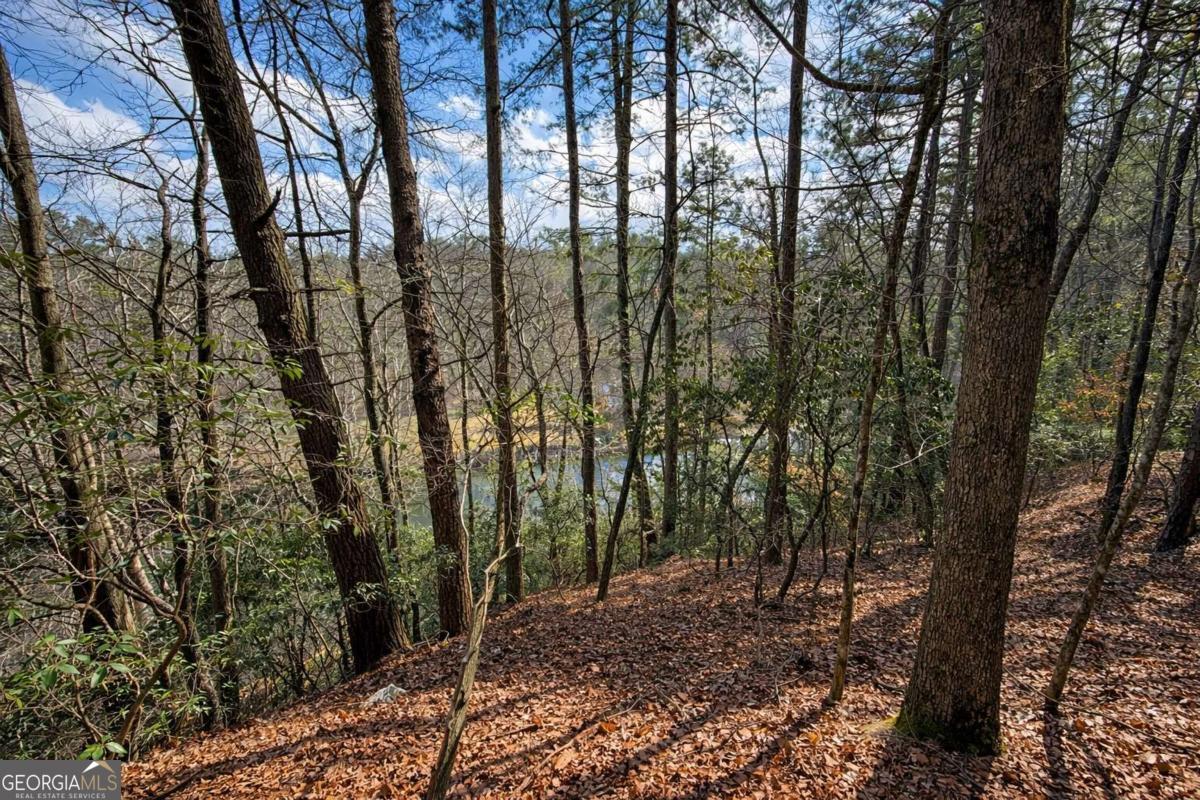 0 Hamlet Court Ellijay GA 30540