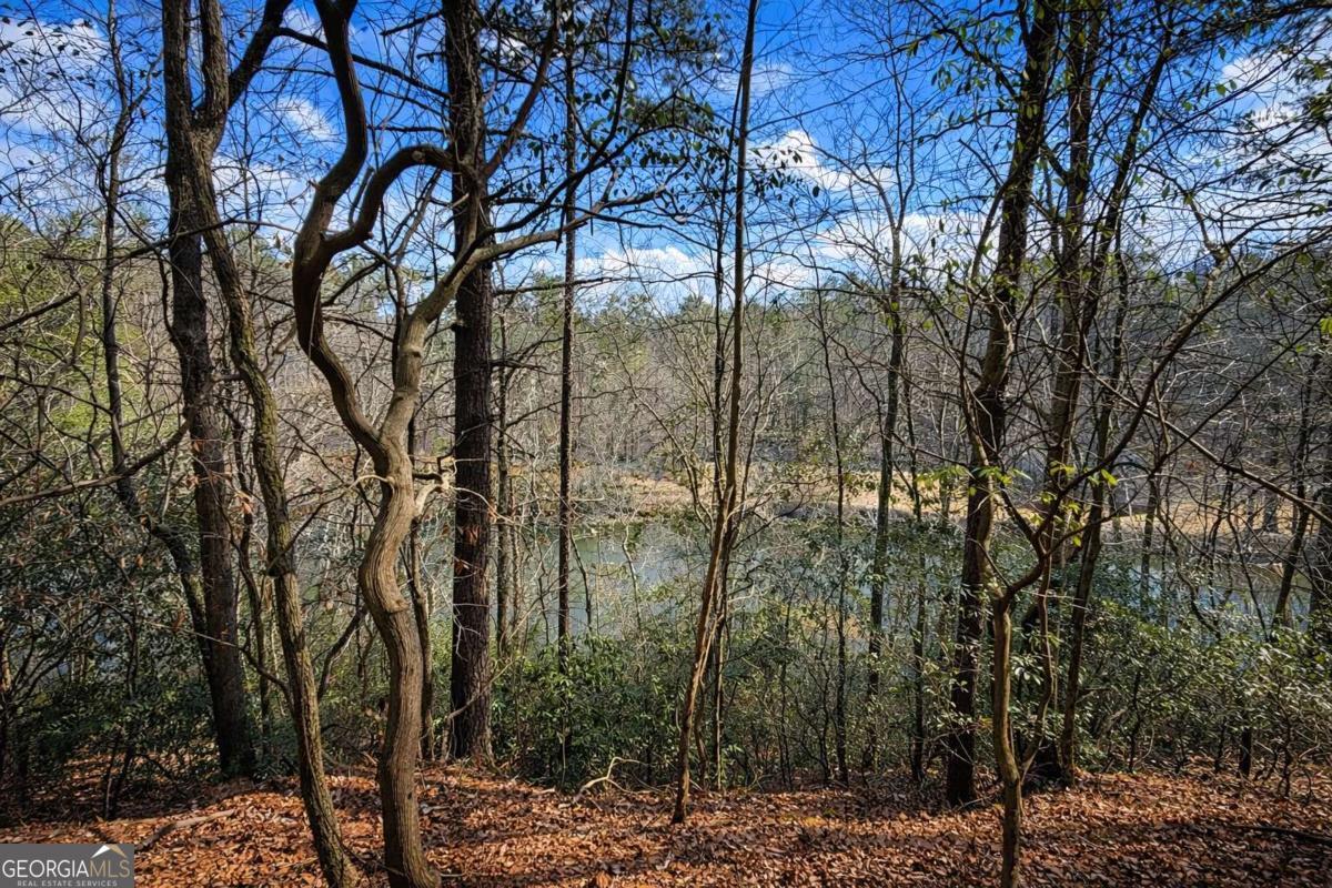 0 Hamlet Court Ellijay GA 30540