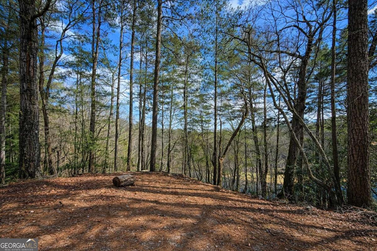 0 Hamlet Court Ellijay GA 30540