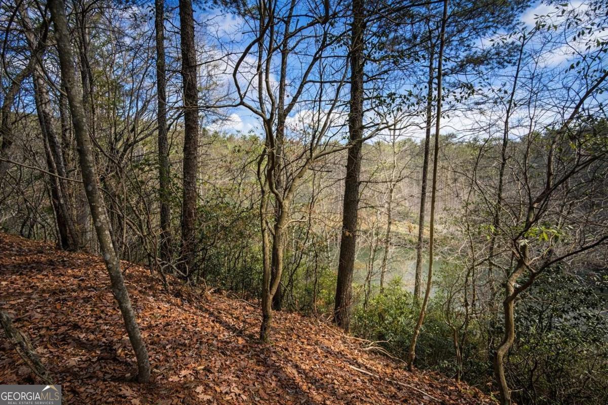 0 Hamlet Court Ellijay GA 30540
