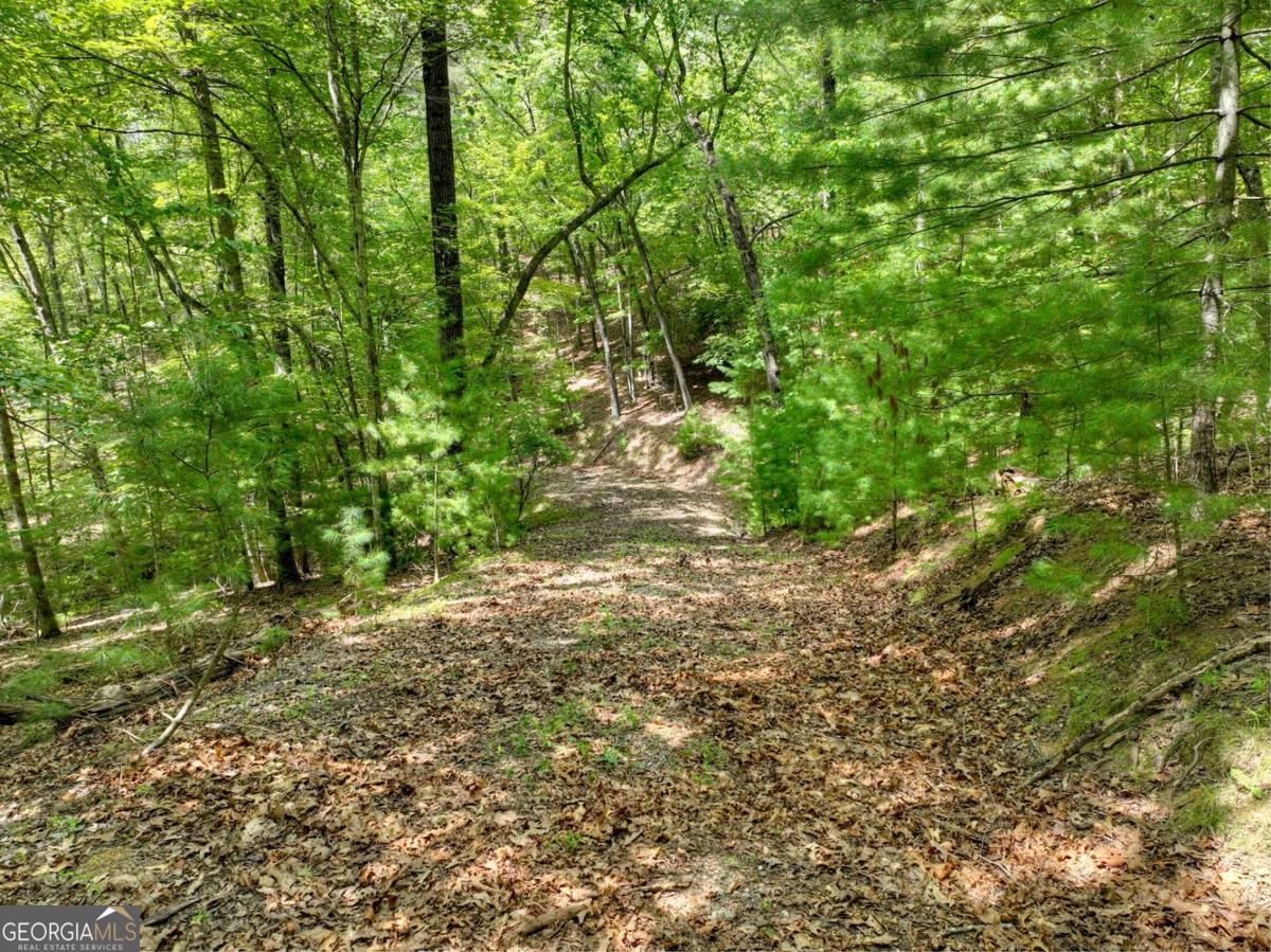 Lot 68 Riverwalk On The Toc Mineral Bluff GA 30559