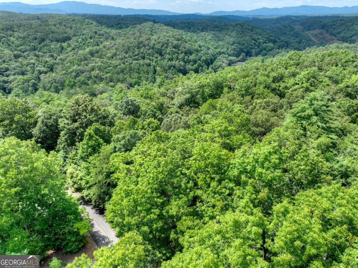Lot 68 Riverwalk On The Toc Mineral Bluff GA 30559