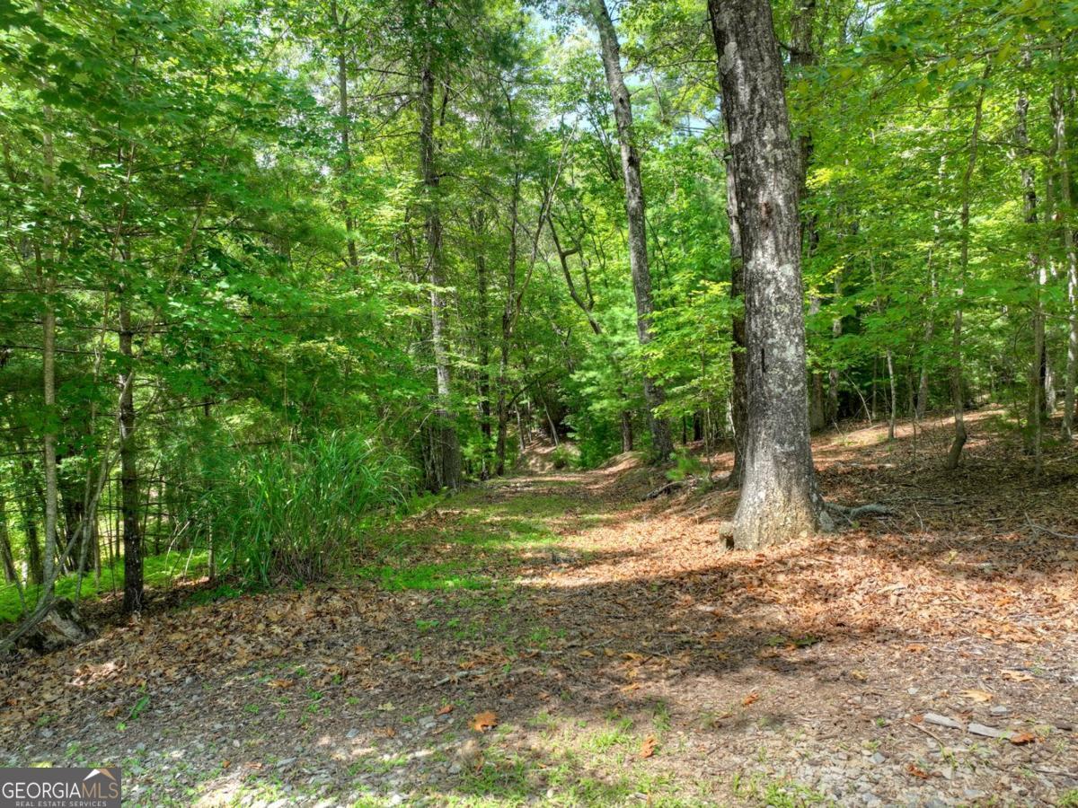 Lot 68 Riverwalk On The Toc Mineral Bluff GA 30559