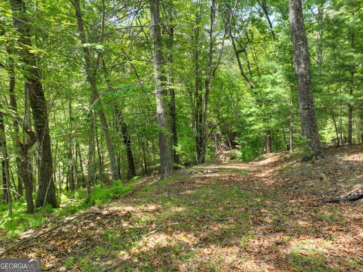 Lot 68 Riverwalk On The Toc Mineral Bluff GA 30559