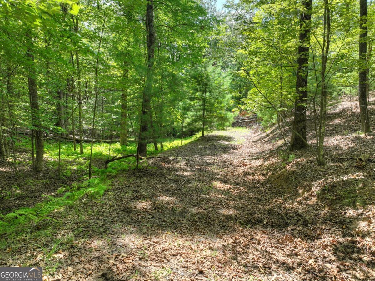 Lot 68 Riverwalk On The Toc Mineral Bluff GA 30559