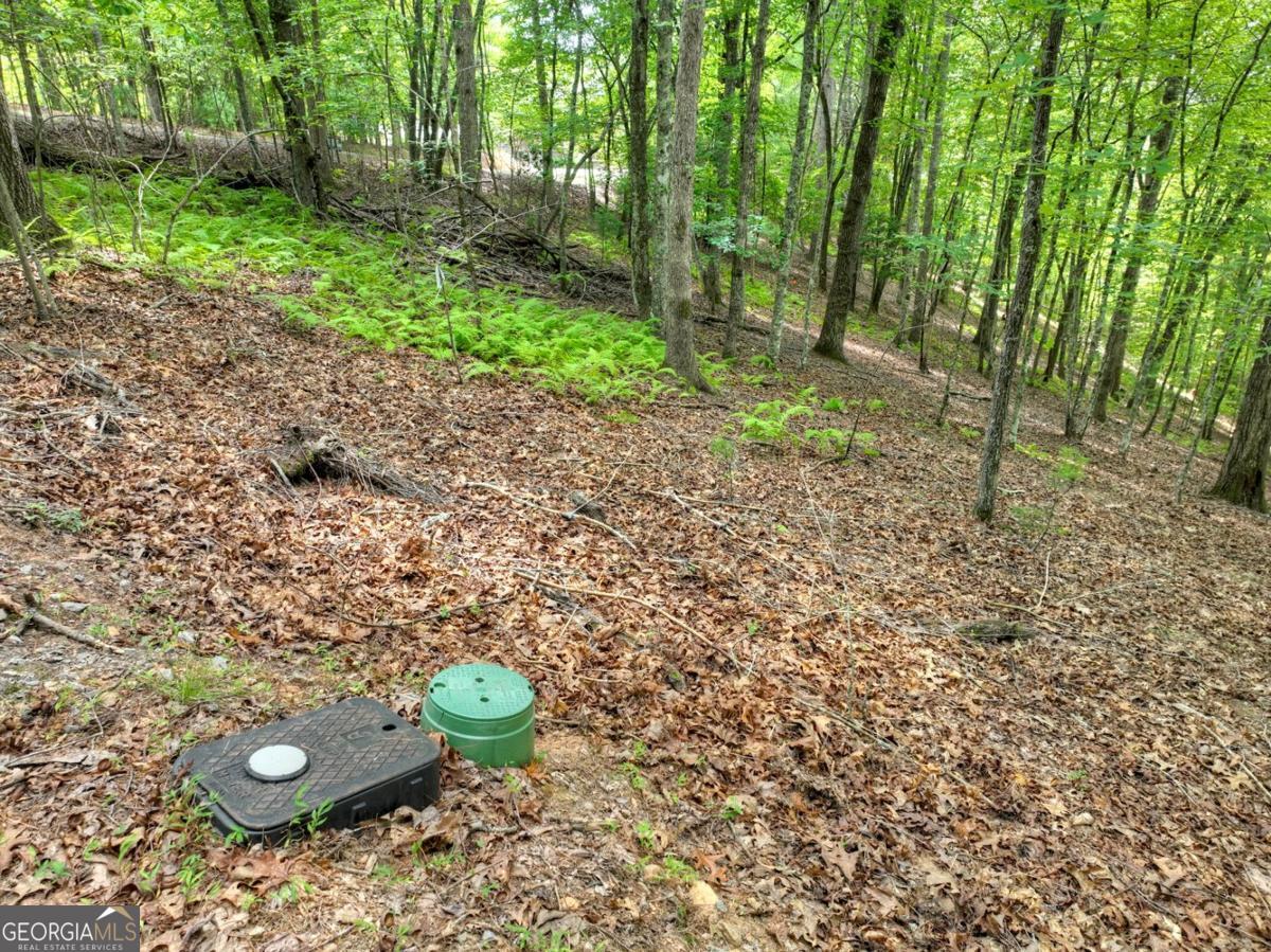 Lot 68 Riverwalk On The Toc Mineral Bluff GA 30559