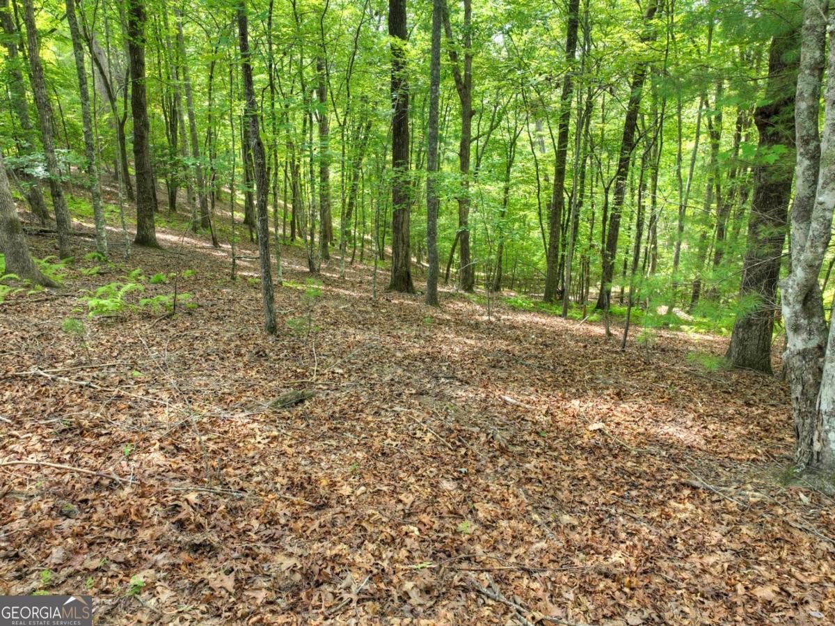 Lot 68 Riverwalk On The Toc Mineral Bluff GA 30559