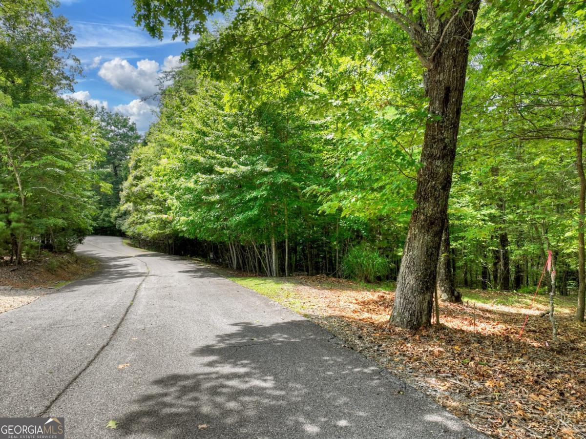 Lot 68 Riverwalk On The Toc Mineral Bluff GA 30559