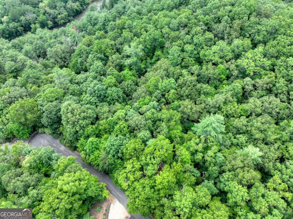 Lot 68 Riverwalk On The Toc Mineral Bluff GA 30559