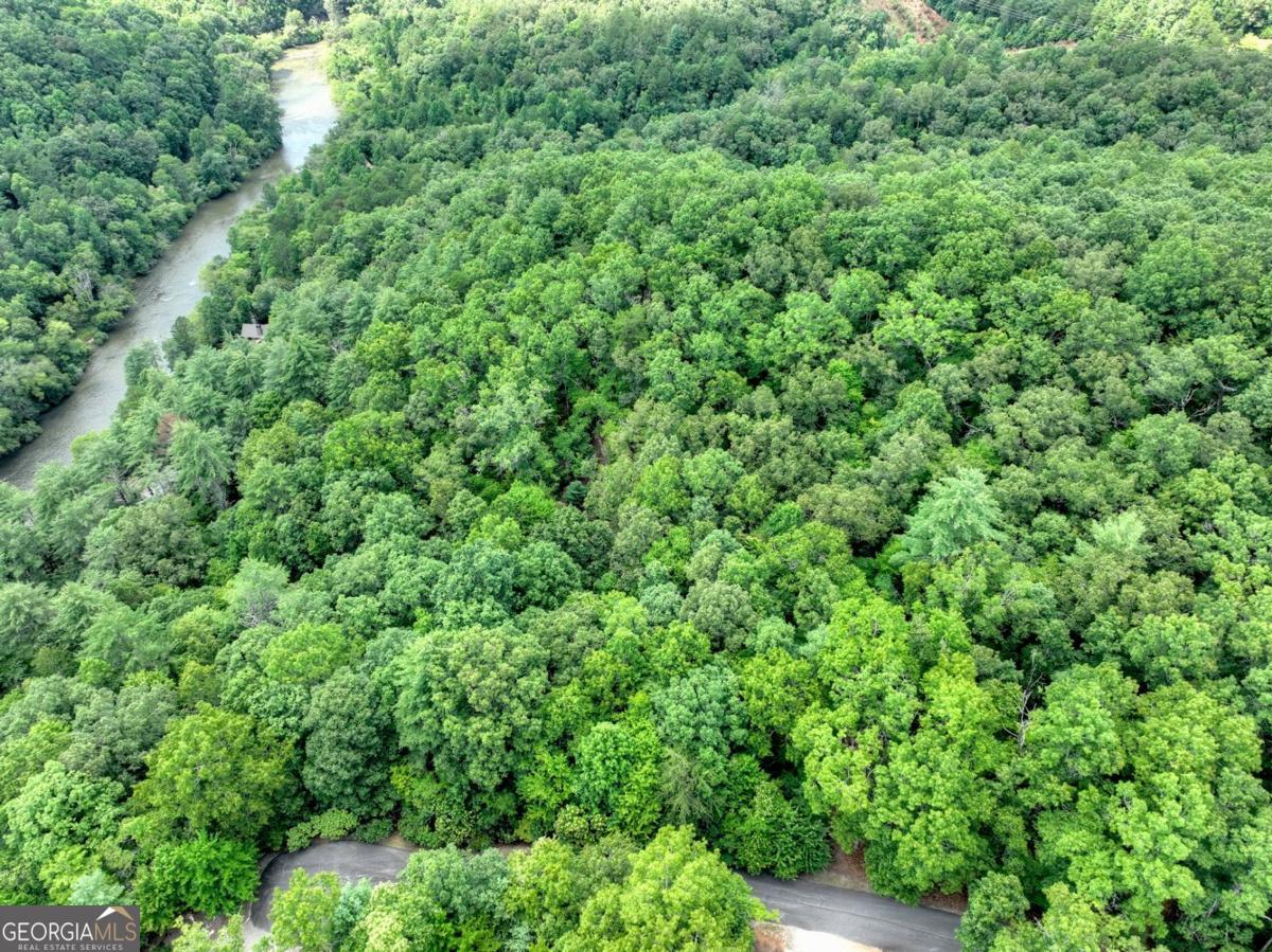 Lot 68 Riverwalk On The Toc Mineral Bluff GA 30559