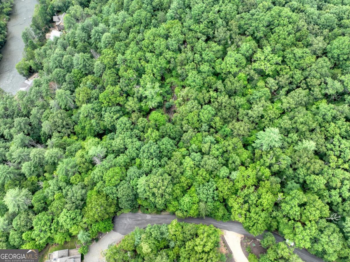 Lot 68 Riverwalk On The Toc Mineral Bluff GA 30559