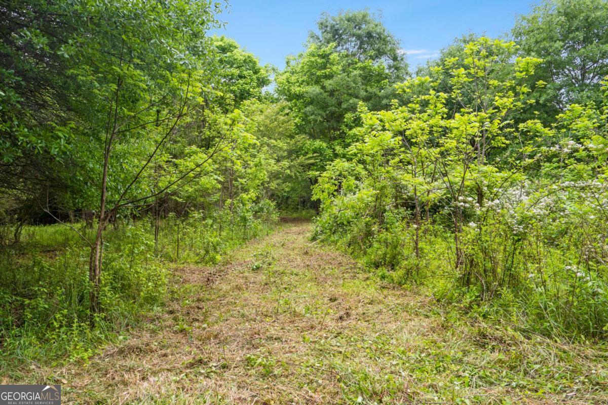 0 Mountain Road Alpharetta GA 30004