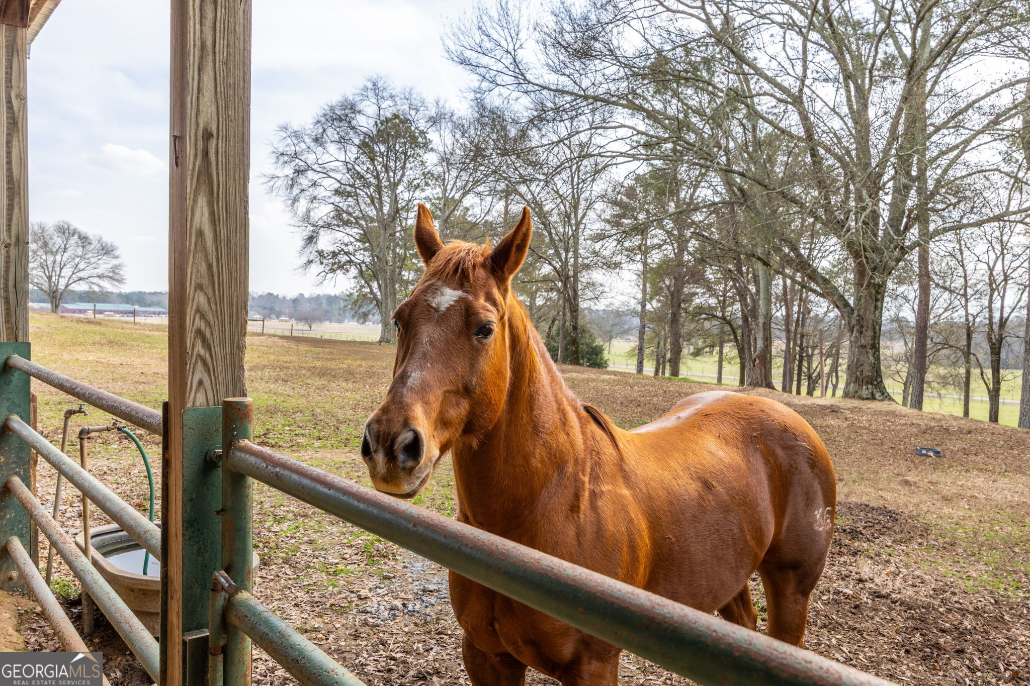 31 Old Hardin Bridge Road Taylorsville GA 30178