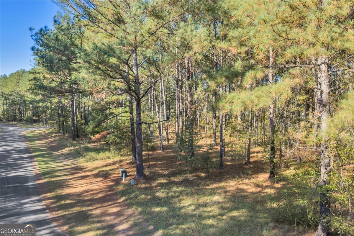 Lot 28 Sweet Magnolia Circle Dublin GA 31021