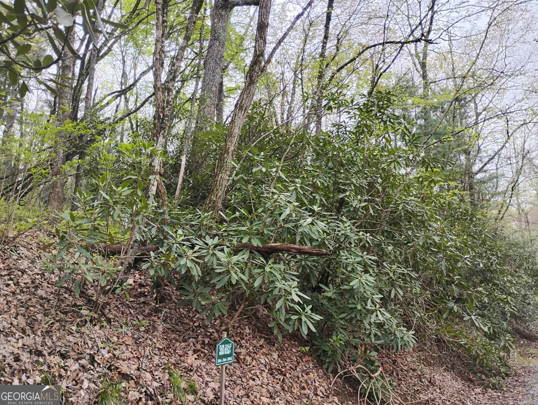 0 Rebel Circle Sky Valley GA 30537