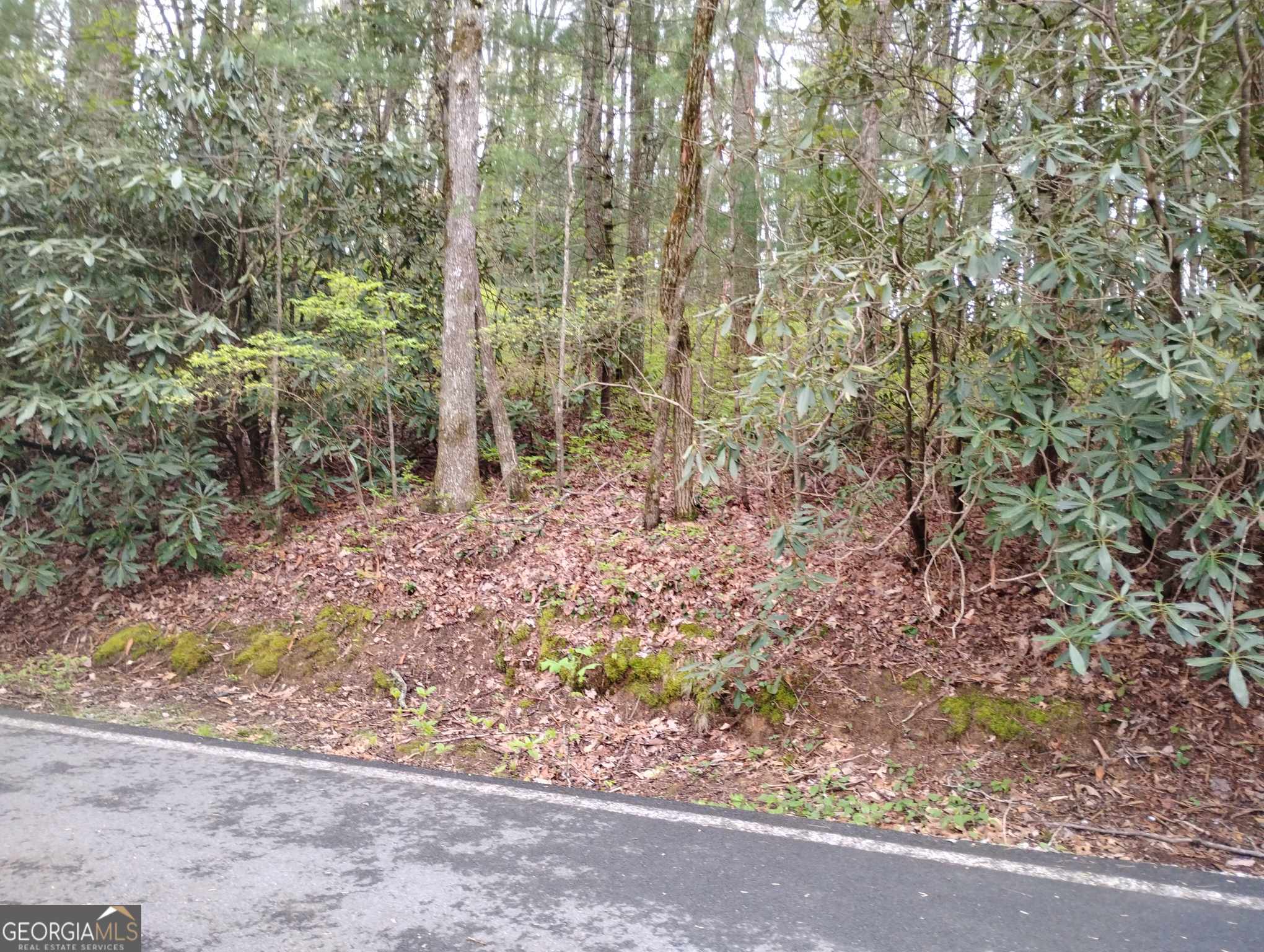 0 Rebel Circle Sky Valley GA 30537