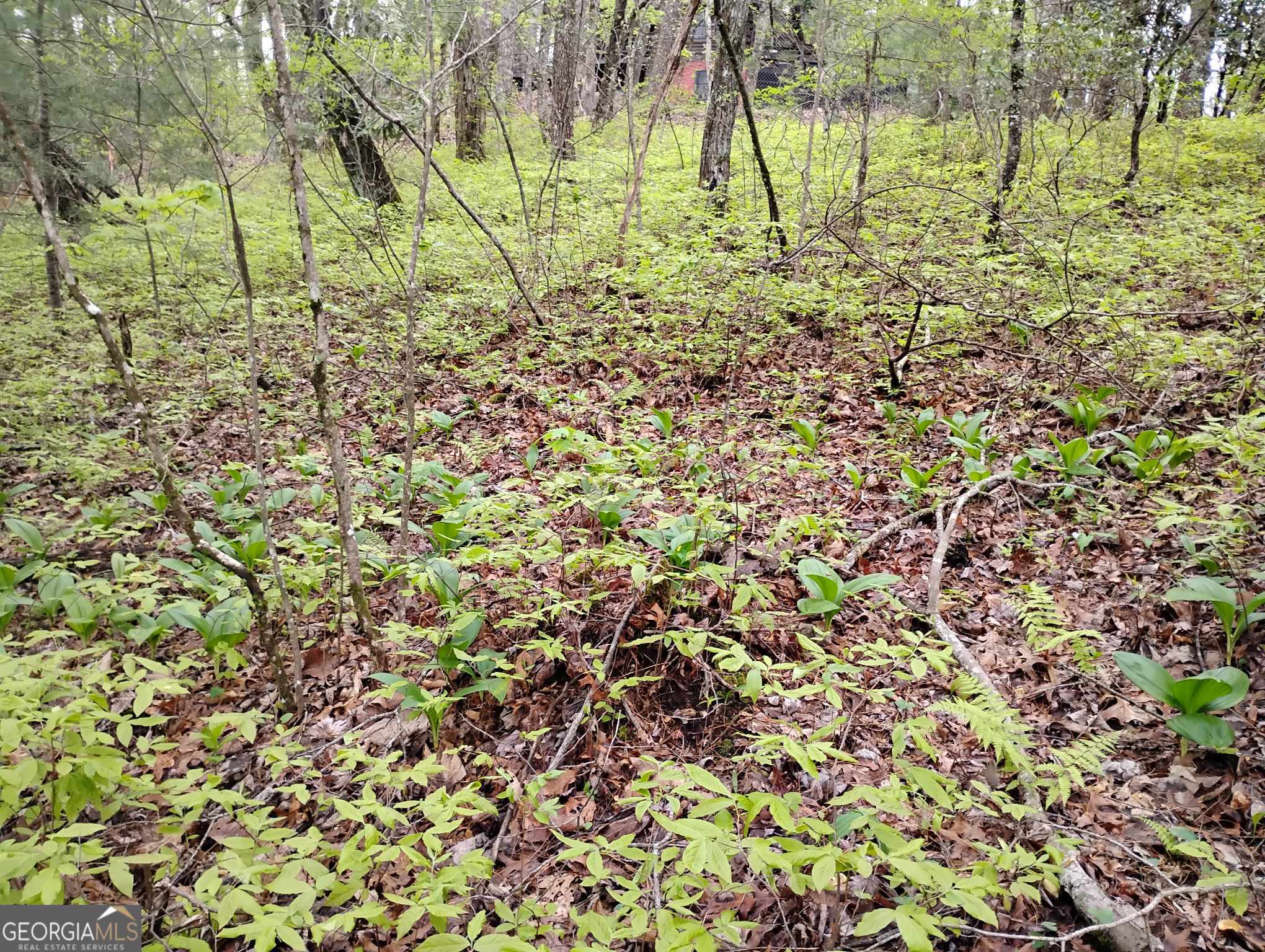 0 Rebel Circle Sky Valley GA 30537