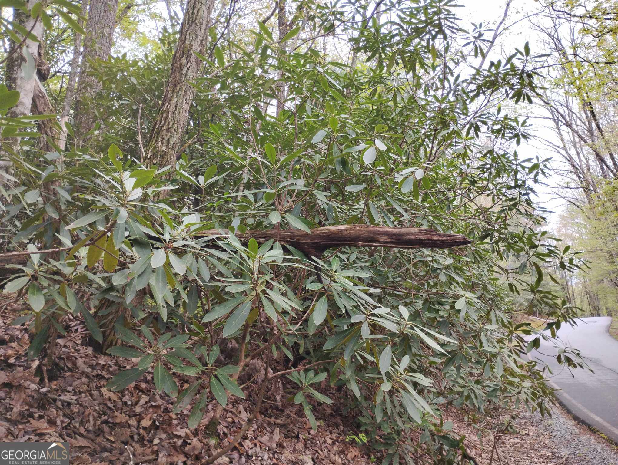 0 Rebel Circle Sky Valley GA 30537