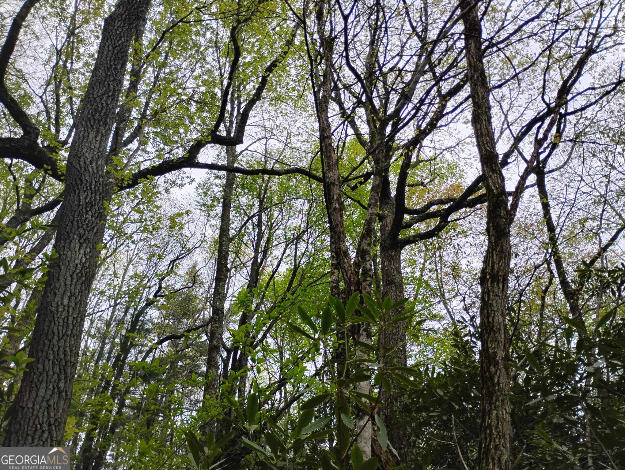 0 Rebel Circle Sky Valley GA 30537